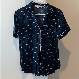 Dachshund sleeping top